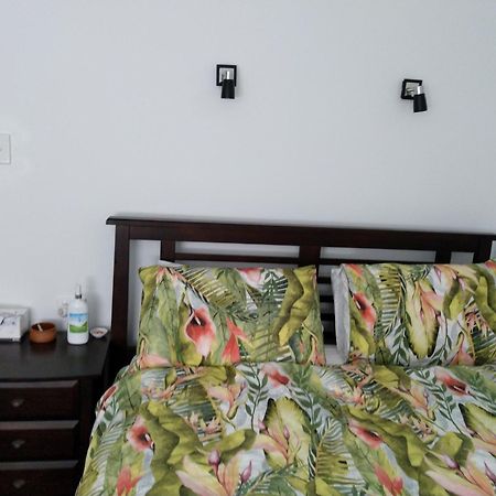 ألباني C'Est La Vie Bed & Breakfast المظهر الخارجي الصورة